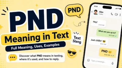 PND Meaning in Text